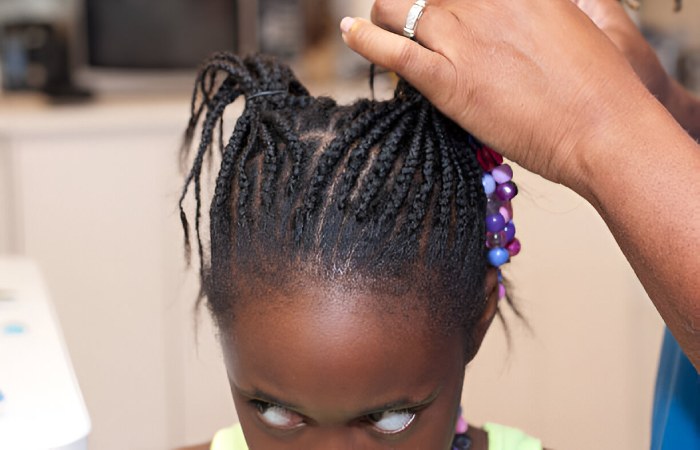 Side Cornrows and Two Strand Twists