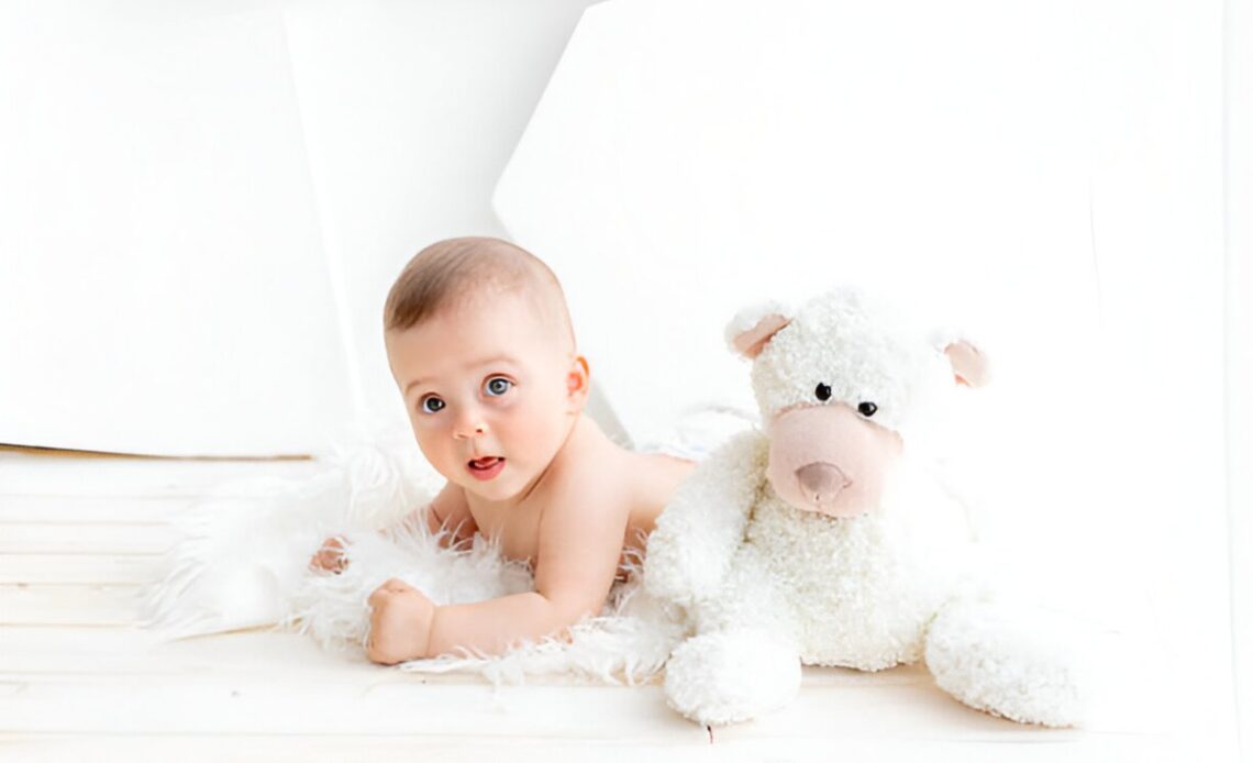 6 Month Baby Photoshoot Ideas At Home